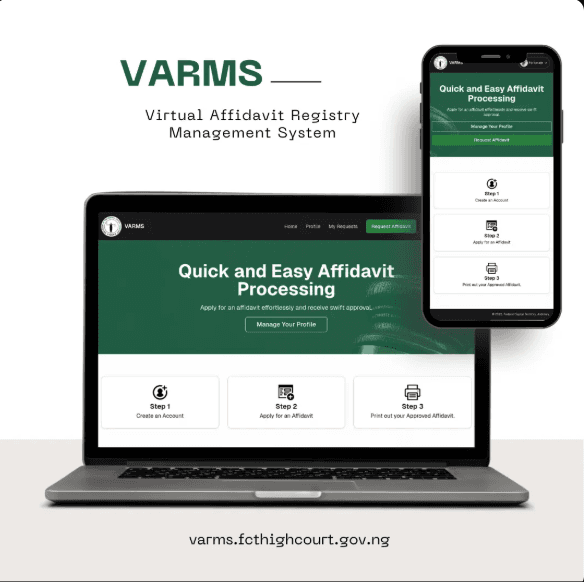 Virtual Affidavit Processing Systems screenshot